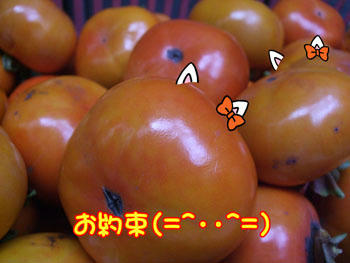器量の悪さはネコ耳でカバー