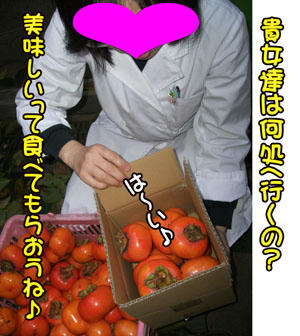 また来年。。