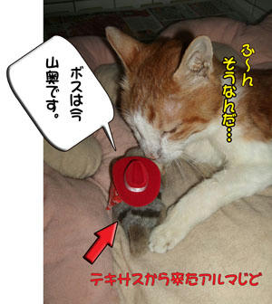 アルマじど、情報をッ!