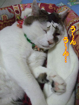 うなされてる~汗