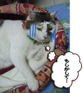 何が起こるの?ドキドキ