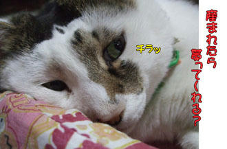 陣痛の波は去ったのかい?