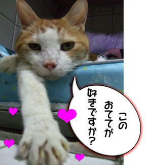 好き、好きぃ～