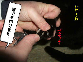 大人しくしてなさい。