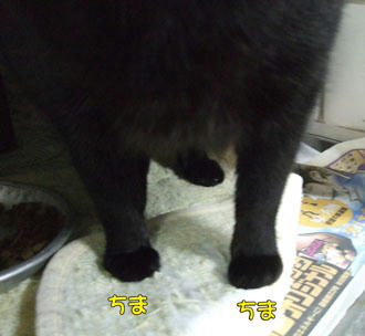 もっとヘンじゃない？（泣）