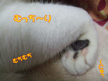 (|||ﾉ｀□´)ﾉｵｵｵｫｫｫｰ!!