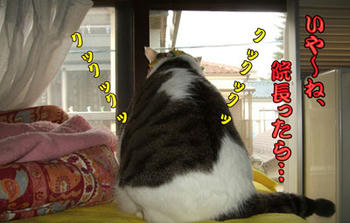 なんで後ろ向きなのさｯ!