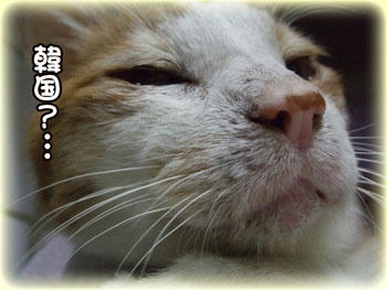 行ったことないね。。