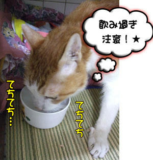 そこは痛いッ!