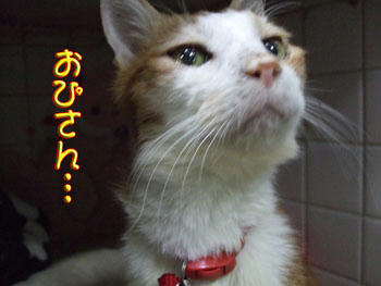 嬉しいね。。