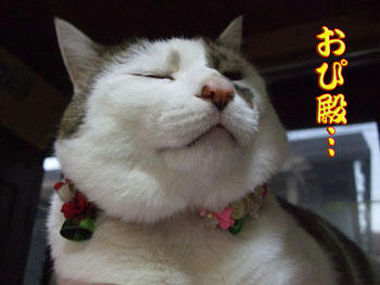 じどもそう思うでしょ