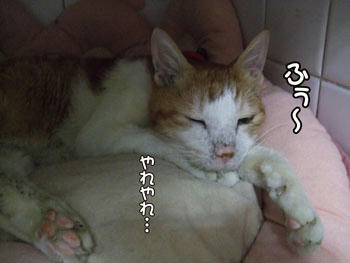 タンタンもそう思ってくれるの？（泣）