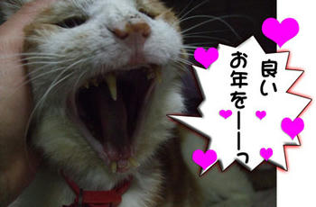 わおっ! じぃちゃんの雄たけび♪
