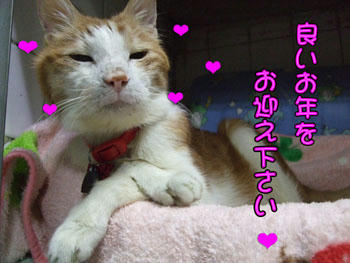 何か渋じぃ?(笑)