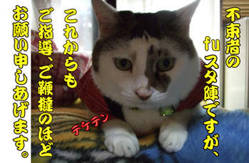 そうだ、最後くらいは真面目に!