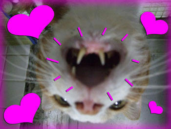 (ノ´▽`)ノオオオオッ♪見事なハート❤