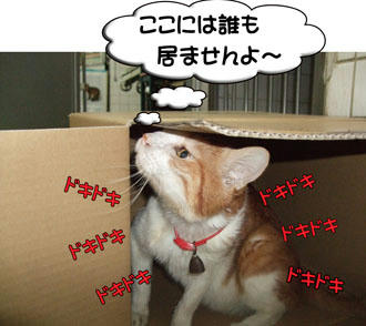誰も来ないよ（笑）