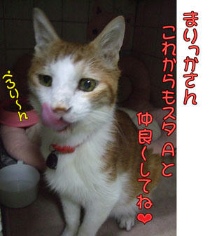 タンタンからもお礼を…