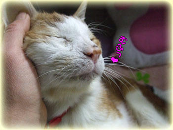 2009年　1月　7日のタンタン❤　ご機嫌な1日だったね…