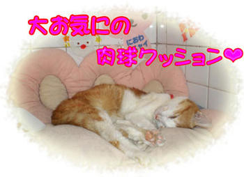 使い古しだったのに、NO1のお気にだったね♪
