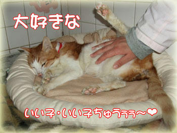2008年　1月　10日のタンタン❤　お薬飲んだ後のらっきょ♪タイム