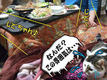 ちょっと緊張気味～