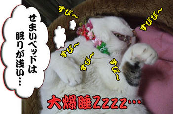 ヽ(∴｀┏Д┓´)ﾉ彡☆ｺﾗｰｯ!