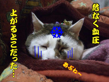 健康を害する寒さってかっ?