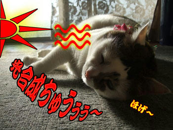 やっぱり自然の力を借りてる。(* ̄m ̄)プッ