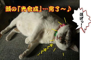 「ほげっ！」が完了の合図かっ？
