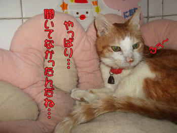 そうみたいだね。(ｰ｡ｰ)ﾌｩ