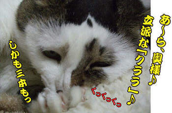 余計なこと言うんじゃないよ、じどちゃん♪