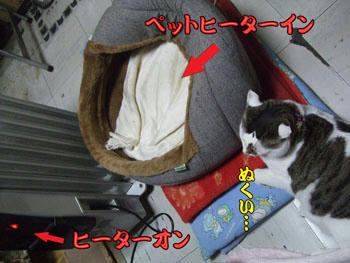 最高気温17℃もあるのに、両方オン?