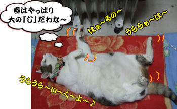 くはーーっ!またそんな格好でっ!