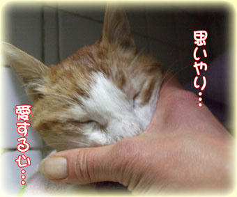 いっぱい愛してもらったね。。