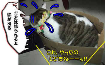 また、何かやったな。箱が歪んでるよ。