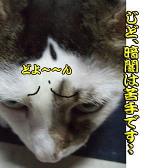 そんな嫌な顔をしなくても…
