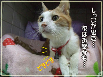 当たりです。ふふ…