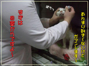 お利口さんだね~