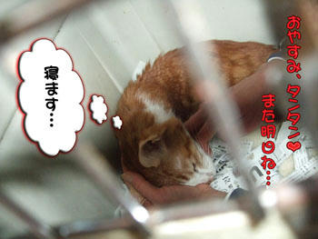 ゆっくりお休みZzzz･･･