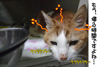 かな～り、眠そうですよ（笑）