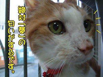 w( ̄▽ ̄;)wワオッ!! 強気な眼差し☆