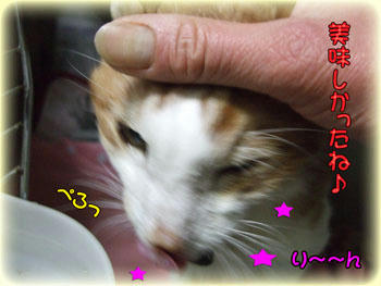 嬉しそうだね♪