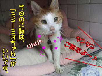 リクエスト有りですか？（笑）
