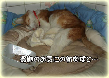 大好きなモノが増えたんだよね。