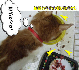 ガッツリ行こうーーーッ!