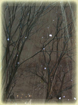 大雪だ~( ̄○ ̄;)ウォー!
