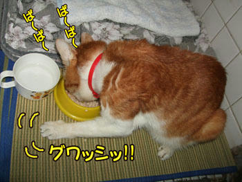 かぶり付きだ～（笑）