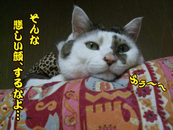 じどにも分かるの？