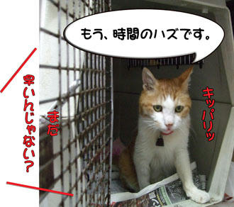 おっ？自信満々？